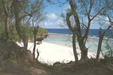 Taungaroro Beach on the west coast